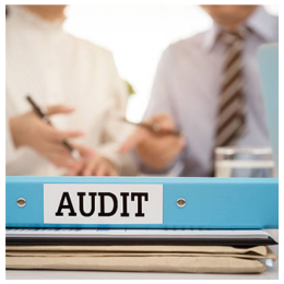 ECS auditing firm highly skilled & experienced accountants give value to company through their expertise & efficiency